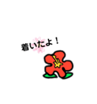 HAWAII ！（個別スタンプ：26）