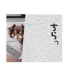 ちはるとモカのスタンプ♡（個別スタンプ：1）