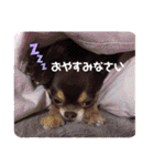 ちはるとモカのスタンプ♡（個別スタンプ：22）
