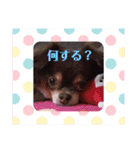 ちはるとモカのスタンプ♡（個別スタンプ：36）