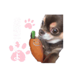 ちはるとモカのスタンプ♡（個別スタンプ：37）