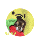 ちはるとモカのスタンプ♡（個別スタンプ：38）