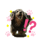 Yamatoくん（個別スタンプ：8）