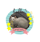 パラダイスにゃん（個別スタンプ：7）