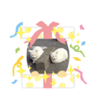 パラダイスにゃん（個別スタンプ：8）