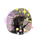 パラダイスにゃん（個別スタンプ：11）