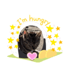 パラダイスにゃん（個別スタンプ：12）