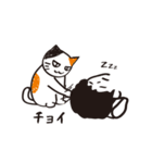 ネコのままにわがままに。（個別スタンプ：17）