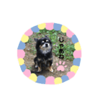 ココちゃんスタンプvar3（個別スタンプ：12）