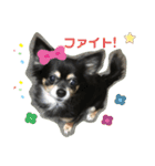 ココちゃんスタンプvar3（個別スタンプ：13）