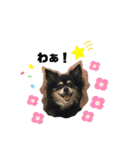 ココちゃんスタンプvar3（個別スタンプ：15）