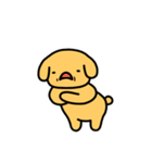 かわいい黄色の犬（個別スタンプ：5）