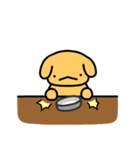 かわいい黄色の犬（個別スタンプ：15）