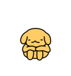 かわいい黄色の犬（個別スタンプ：17）