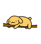 かわいい黄色の犬（個別スタンプ：21）
