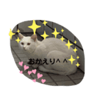 コメントメッセージ（個別スタンプ：8）