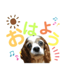 井田家の仲間たち（個別スタンプ：4）