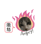 井田家の仲間たち（個別スタンプ：14）