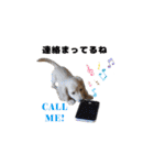 ベイリーwithダックスフレンズ2（個別スタンプ：9）