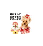 ベイリーwithダックスフレンズ2（個別スタンプ：40）