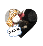 仲良し3人家族 ④（個別スタンプ：5）