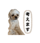ろいくんのこころの声②（個別スタンプ：5）