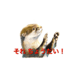 ミィと動物たち（個別スタンプ：1）