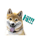ミィと動物たち（個別スタンプ：3）