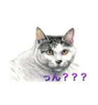ミィと動物たち（個別スタンプ：8）