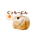 うさぎのよもぎ。日常会話（個別スタンプ：5）