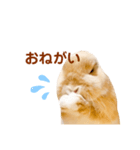 うさぎのよもぎ。日常会話（個別スタンプ：7）