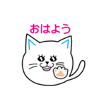 まんまる～い猫「毎日使える」（個別スタンプ：1）