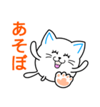 まんまる～い猫「毎日使える」（個別スタンプ：40）