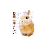 くたくたな人のためのよもぎちゃんスタンプ（個別スタンプ：5）