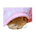 くたくたな人のためのよもぎちゃんスタンプ（個別スタンプ：8）