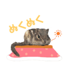 むぎぐらし ふゆがきた（個別スタンプ：2）