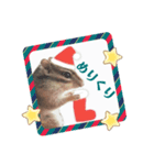 むぎぐらし ふゆがきた（個別スタンプ：4）
