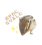 むぎぐらし ふゆがきた（個別スタンプ：5）