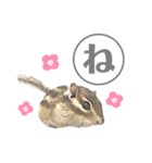 むぎぐらし ふゆがきた（個別スタンプ：6）