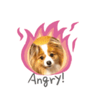 犬スタンプver.2（個別スタンプ：8）