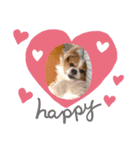 犬スタンプver.2（個別スタンプ：12）