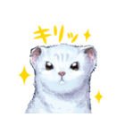しままるのおともだち（個別スタンプ：16）