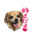 北海道弁☆チワックス（個別スタンプ：1）