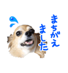 北海道弁☆チワックス（個別スタンプ：3）