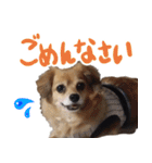 北海道弁☆チワックス（個別スタンプ：4）