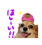 北海道弁☆チワックス（個別スタンプ：6）