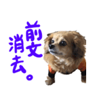 北海道弁☆チワックス（個別スタンプ：9）