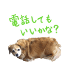北海道弁☆チワックス（個別スタンプ：15）