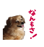 北海道弁☆チワックス（個別スタンプ：18）