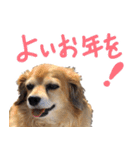 北海道弁☆チワックス（個別スタンプ：23）
